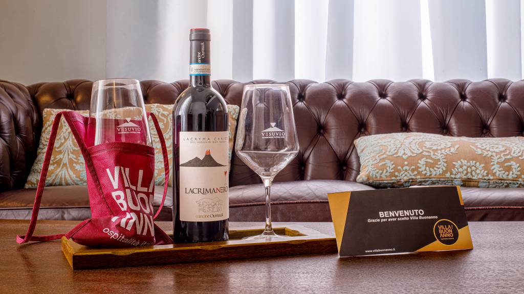 Villa-Buonanno-Napoli-senior-suite-155-5